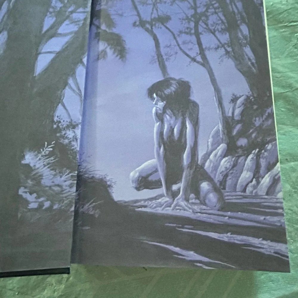 Stephen King Wolves of the Calla The Dark Tower V Hardcover